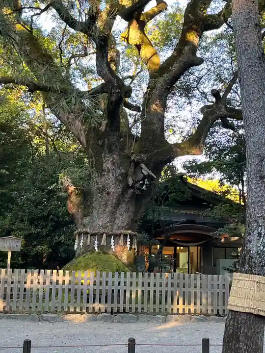 熱田神宮(愛知県)