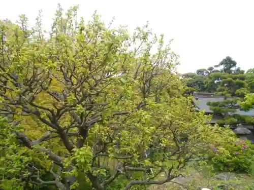 仏行寺（佛行寺）の庭園