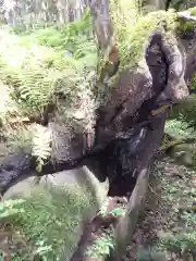 名草厳島神社(栃木県)