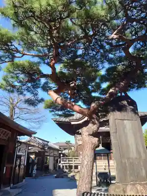 神門寺(埼玉県)