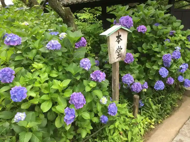 東慶寺(神奈川県)