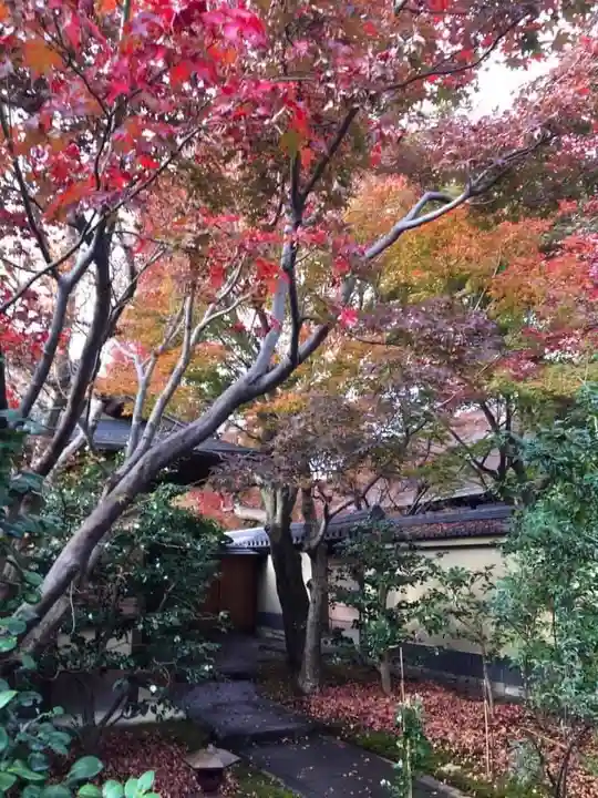大徳寺(京都府)