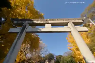 玉敷神社(埼玉県)