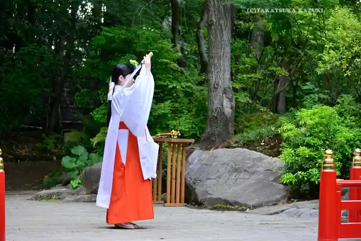 寒川神社(神奈川県)