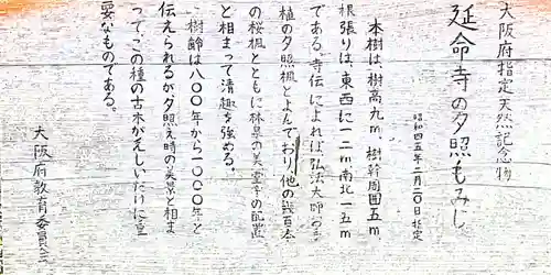 延命寺(大阪府)