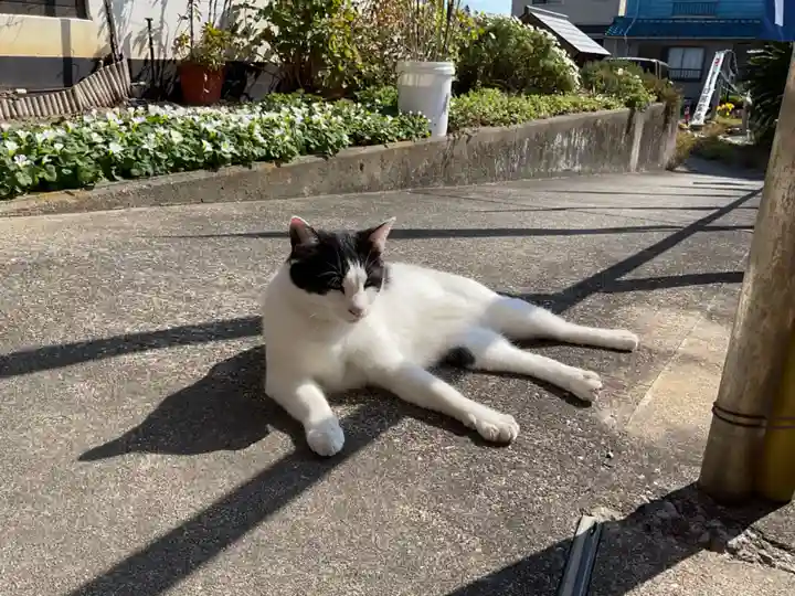 井際山 如意輪寺(愛知県)