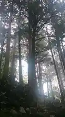 三峯神社の建物その他