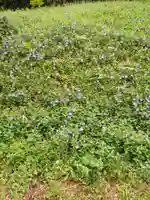 白狐山光星寺(山形県)