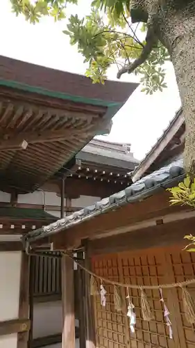 坂井神社の建物その他