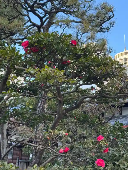 白林禅寺、白林寺の{uncategorized: "未分類", other: "その他", undefined: "問題あり", building: "その他建物", grave: "お墓", sacred_gate: "鳥居", guardian: "狛犬", statue: "像", buddha: "仏像", history: "歴史", nature: "自然", garden: "庭園", animal: "動物", pagoda: "塔", temizu: "手水舎", mountain_gate: "山門・神門", sanctuary: "本殿・本堂", subordinate: "末社・摂社", art: "芸術", scenery: "景色", jizo: "地蔵", ema: "絵馬", goshuin: "御朱印", omikuji: "おみくじ", items: "授与品その他", amulet: "お守り", goshuincho: "御朱印帳", eats: "食事", festival: "お祭り", votive_dance: "神楽", shichigosan: "七五三参", wedding: "結婚式", experience: "体験その他", initially: "初詣", around: "周辺", anti_infection: "感染症対策"}