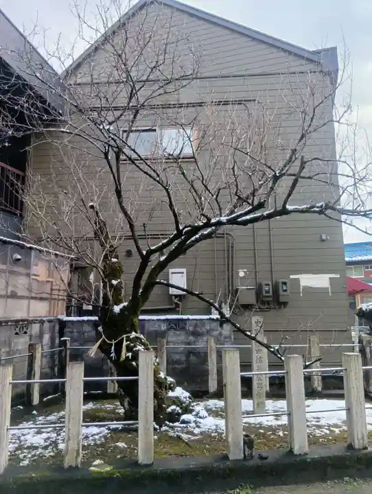 手力雄神社(岐阜県)