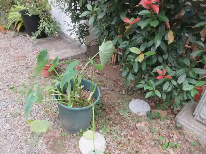 専称寺(東京都)