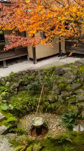 興聖寺(京都府)