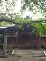 龍光寺の本殿・本堂