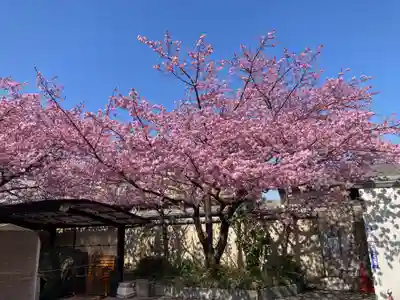 善福寺(神奈川県)