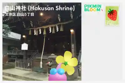 白山神社の{uncategorized: "未分類", other: "その他", undefined: "問題あり", building: "その他建物", grave: "お墓", sacred_gate: "鳥居", guardian: "狛犬", statue: "像", buddha: "仏像", history: "歴史", nature: "自然", garden: "庭園", animal: "動物", pagoda: "塔", temizu: "手水舎", mountain_gate: "山門・神門", sanctuary: "本殿・本堂", subordinate: "末社・摂社", art: "芸術", scenery: "景色", jizo: "地蔵", ema: "絵馬", goshuin: "御朱印", omikuji: "おみくじ", items: "授与品その他", amulet: "お守り", goshuincho: "御朱印帳", eats: "食事", festival: "お祭り", votive_dance: "神楽", shichigosan: "七五三参", wedding: "結婚式", experience: "体験その他", initially: "初詣", around: "周辺", anti_infection: "感染症対策"}