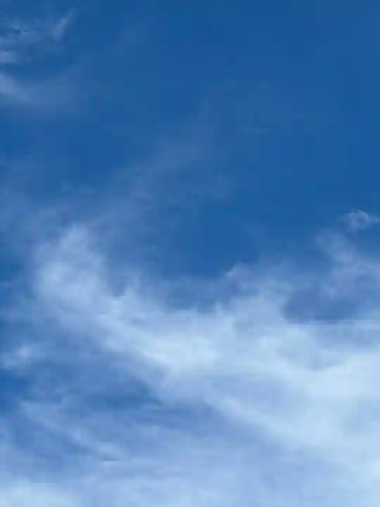 滝野川八幡神社(東京都)