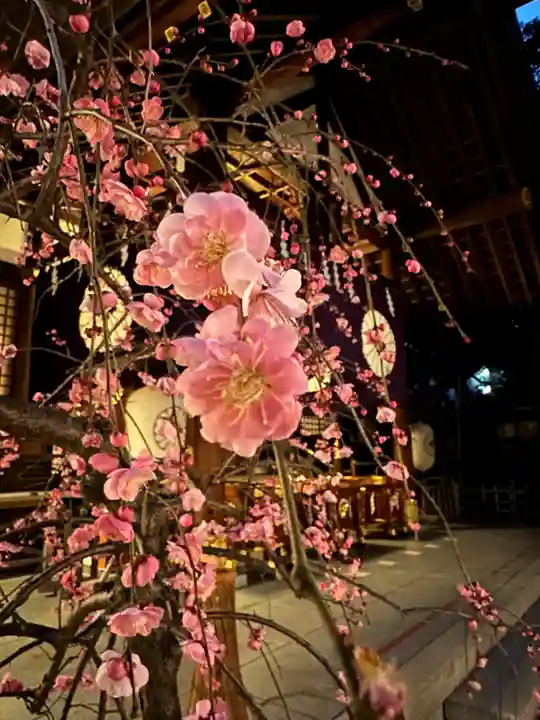 東京大神宮(東京都)