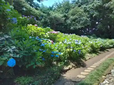 妙楽寺(神奈川県)