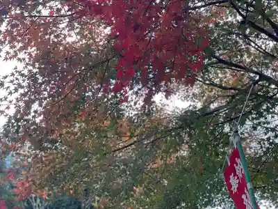 関善光寺(岐阜県)