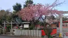 車折神社の自然