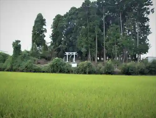 御田神社の景色