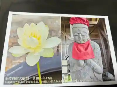 金枝白蛇大権現(栃木県)