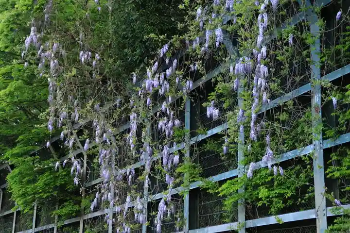 阿久津「田村神社」(郡山市阿久津町)旧社名:伊豆箱根三嶋三社の周辺