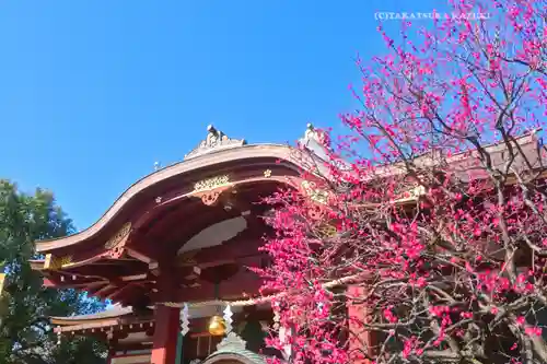 亀戸天神社(東京都)