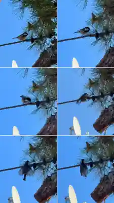 函館水天宮(北海道)