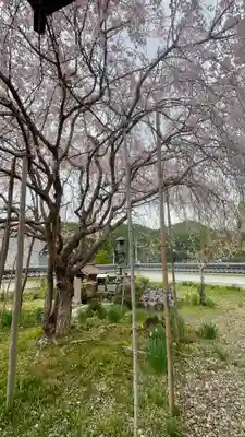 宝泉寺(京都府)