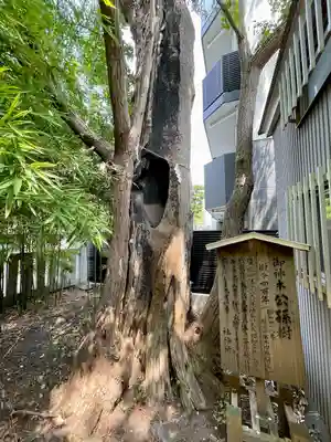 東神奈川熊野神社(神奈川県)