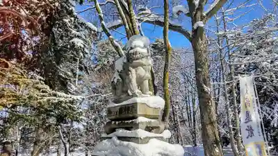 東神楽神社の狛犬