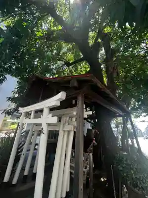 楠木大神(大阪府)