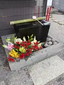 上尾御嶽神社の手水舎(2025年03月08日(土) 15時50分23秒投稿)