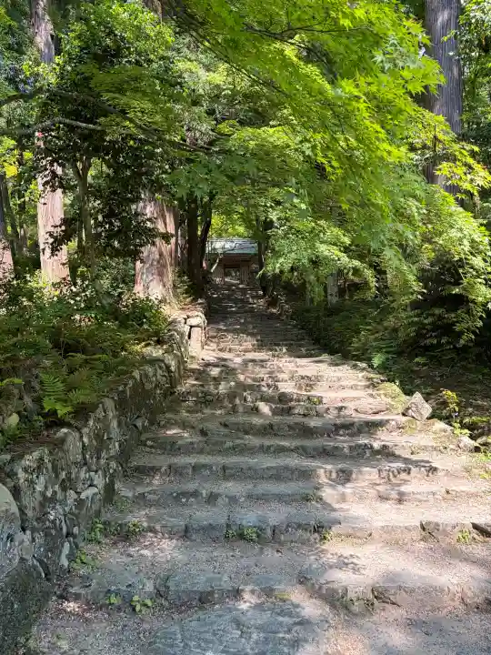 百済寺の{uncategorized: "未分類", other: "その他", undefined: "問題あり", building: "その他建物", grave: "お墓", sacred_gate: "鳥居", guardian: "狛犬", statue: "像", buddha: "仏像", history: "歴史", nature: "自然", garden: "庭園", animal: "動物", pagoda: "塔", temizu: "手水舎", mountain_gate: "山門・神門", sanctuary: "本殿・本堂", subordinate: "末社・摂社", art: "芸術", scenery: "景色", jizo: "地蔵", ema: "絵馬", goshuin: "御朱印", omikuji: "おみくじ", items: "授与品その他", amulet: "お守り", goshuincho: "御朱印帳", eats: "食事", festival: "お祭り", votive_dance: "神楽", shichigosan: "七五三参", wedding: "結婚式", experience: "体験その他", initially: "初詣", around: "周辺", anti_infection: "感染症対策"}