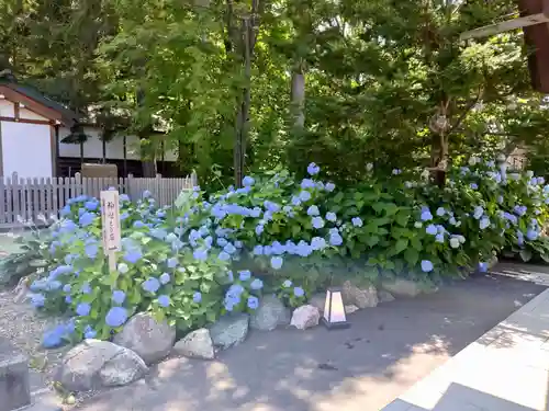 旭川神社の庭園