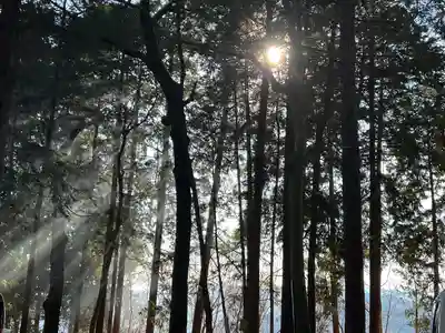 宝登山神社奥宮(埼玉県)