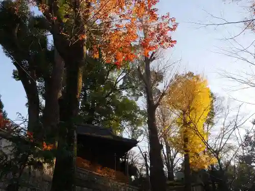 西向天神社のその他建物