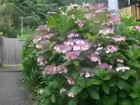 御霊神社の自然