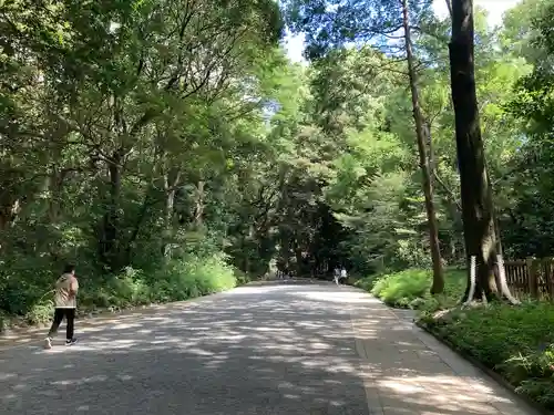 明治神宮(東京都)