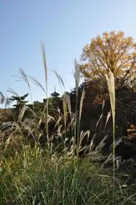 戸部杉山神社(神奈川県)
