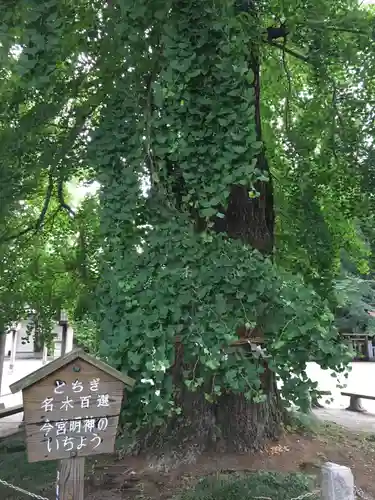 今宮神社の自然