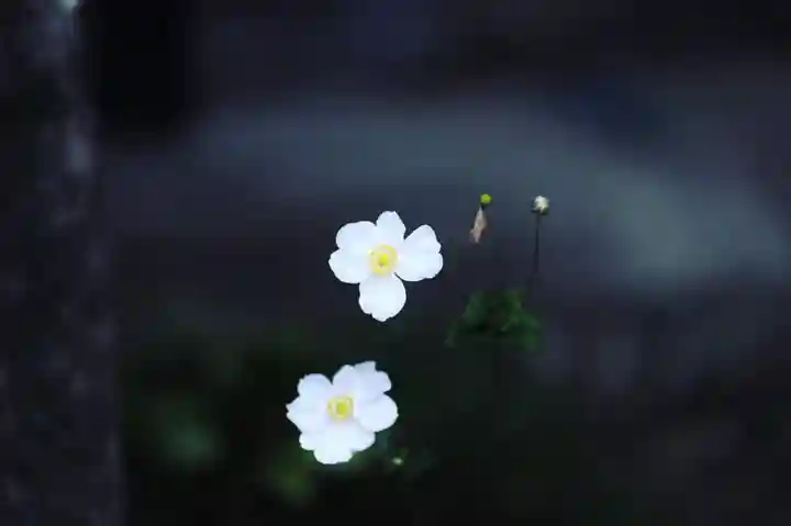 浄土寺(兵庫県)