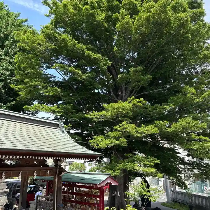 滝野川八幡神社の{uncategorized: "未分類", other: "その他", undefined: "問題あり", building: "その他建物", grave: "お墓", sacred_gate: "鳥居", guardian: "狛犬", statue: "像", buddha: "仏像", history: "歴史", nature: "自然", garden: "庭園", animal: "動物", pagoda: "塔", temizu: "手水舎", mountain_gate: "山門・神門", sanctuary: "本殿・本堂", subordinate: "末社・摂社", art: "芸術", scenery: "景色", jizo: "地蔵", ema: "絵馬", goshuin: "御朱印", omikuji: "おみくじ", items: "授与品その他", amulet: "お守り", goshuincho: "御朱印帳", eats: "食事", festival: "お祭り", votive_dance: "神楽", shichigosan: "七五三参", wedding: "結婚式", experience: "体験その他", initially: "初詣", around: "周辺", anti_infection: "感染症対策"}