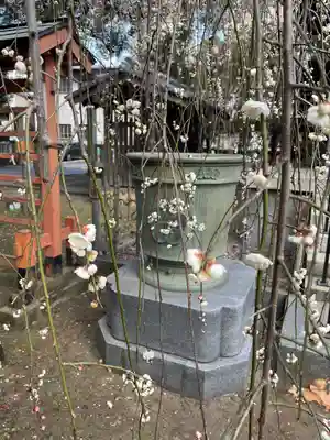 川口神社(埼玉県)