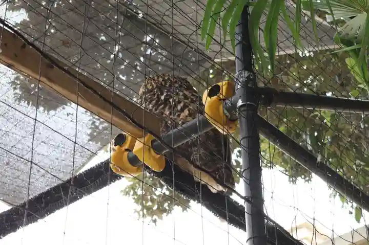柏諏訪神社(千葉県)
