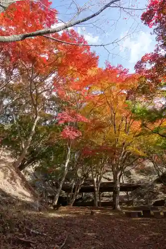 笠置寺の庭園