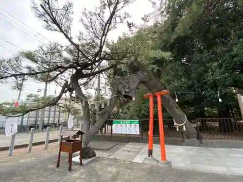 玉村八幡宮の庭園