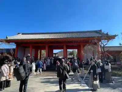 蓮華王院（三十三間堂）(京都府)